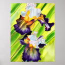 Suche nach iris aquarell poster Lila