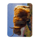 Recherche de hauts de forme magnets Gardien
