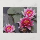 Recherche de belle cartes postales Fleur