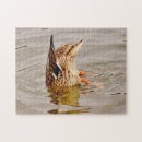 Suche nach ducks puzzle Teich