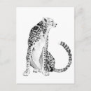 Suche nach cheetah postkarten Gepard