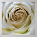 Suche nach creme poster Gelb