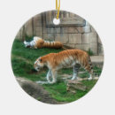 Suche nach gefährdet ornamente Tiger