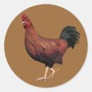 Suche nach roter hahn aufkleber Huhn
