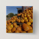 Suche nach kürbis buttons Ernte