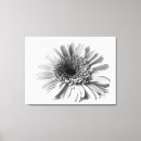 Suche nach gerbera leinwandbilder Flora