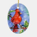 Suche nach roter kardinal ornamente Verzierung