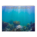 Suche nach florida kalender Tropisch