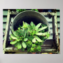 Recherche de poitrine art Botanique