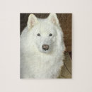 Recherche de samoyed puzzles Blanc