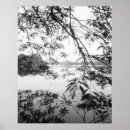 Suche nach zweigen poster Natur