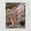 Suche nach südamerikanische poster Fuchs