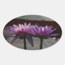 Recherche de de nénuphar autocollants Fleur