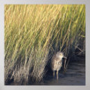 Recherche de grasse posters Nature