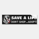 Recherche de adoption animale Adoption de chiens