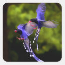 Recherche de mauves autocollants Jardin