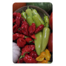 Recherche de chili magnets Poivrons