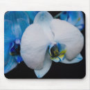 Suche nach phalaenopsis mousepads Mit blumen