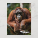 Suche nach borneo postkarten Sumatra