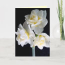Recherche de écritures saintes vœux cartes Fleurs