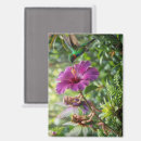 Suche nach kolibri magnete Blumen