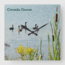 Suche nach schwanz wanduhren Natur