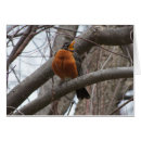 Suche nach geräusche postkarten Vögel