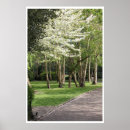 Recherche de dublin irlande posters Vert