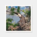 Recherche de aigle chauve serviettes Nature