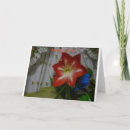 Suche nach thinking of you alle karten Flower