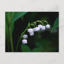 Recherche de muguet cartes postales Floral