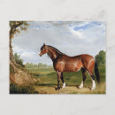 Recherche de harengs cartes postales Cheval