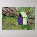 Suche nach vogelhäuser poster Vogelhaus