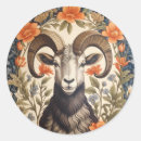 Recherche de mouflon autocollants Toute personne