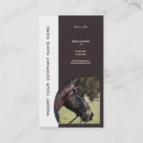 Recherche de affaires de cheval Équestre