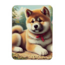 Suche nach akita magnete Welpe