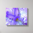 Recherche de pourpre impressions sur toile Fleur