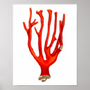 Suche nach darstellung poster Meer