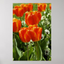Suche nach heller frühling kunst Natur