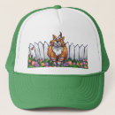 Recherche de gingembre casquettes Chats
