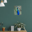 Suche nach blauer pfau poster Foto