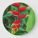 Suche nach tropical flowers poster Red