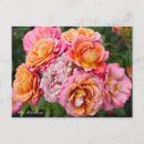 Recherche de kaléidoscope cartes postales Rose