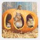 Suche nach inside aufkleber Niedlich