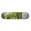 Recherche de bâtiments skateboards Canal