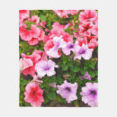 Recherche de pétunias Botanique