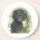 Suche nach primate untersetzer Affe