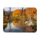 Recherche de michaels vœux cartes Paysage