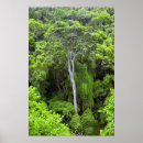 Suche nach indigen poster Natur