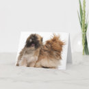 Suche nach sitzungen karten Studioaufnahme